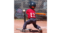 Welcome to the Field: Tee-Ball & Rookie Divisions